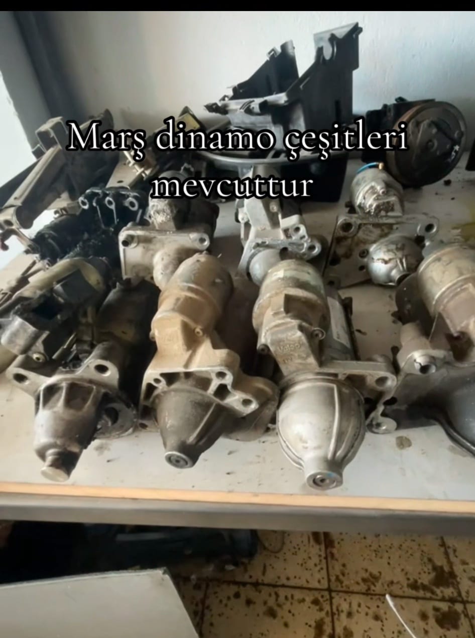 Marj dinamo çeşitleri